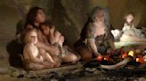 Fossil of 6-year-old Neanderthal child with Down syndrome discovered in Spain