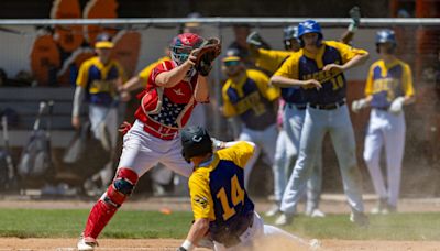 HS Baseball: Deposit-Hancock, Oneonta, Unatego/Franklin win Section 4 titles