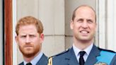 King Charles Made Prince William Leader of Prince Harry’s Military Regiment on the Day the Duke of Sussex Arrived in London