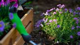 The 15 Best Raised Bed Gardens for Every Type of Outdoor Space