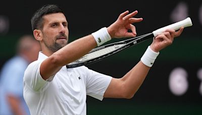 Djokovic sets up Alcaraz rematch in Wimbledon final