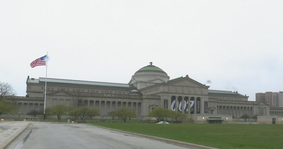 10-year-old girl sexually assaulted at Chicago's Museum of Science and Industry