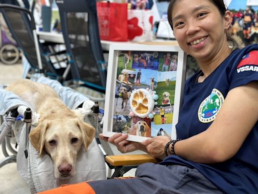 新北「木蘭」搜救犬病逝 領犬員淚崩 | 蕃新聞