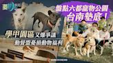 盤點六都寵物公園台南墊底！學甲園區又爆爭議 動督盟憂損動物福利