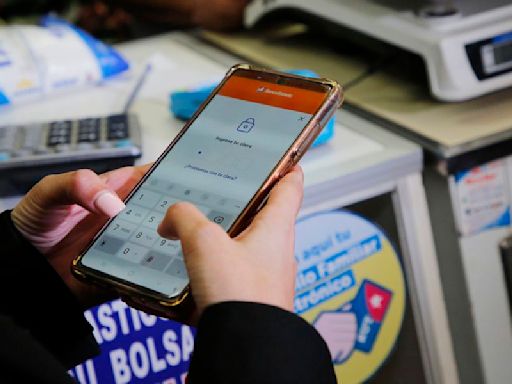 Bolsillo Familiar Electrónico reactivado: conoce cómo funcionará y cuándo se paga - La Tercera