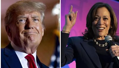 Kamala Harris gives 'delicious dose of trolling' to Trump as he mocks US VP with new nickname