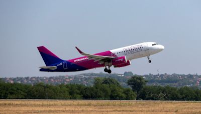 Wizz Air sees delivery delays after Airbus cuts targets, CEO says