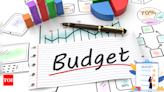 Budget 2024: Need to re-think the profit margin under presumptive tax scheme for professionals - Times of India