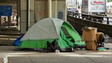 Architect hopes cabin community will help solve Toronto's homelessness crisis