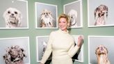 Katherine Heigl Merges Her Love for 'Art and Animals' with Photo Exhibit that Supports Rescue Pets (Exclusive)