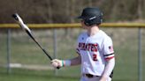 Livingston County baseball final 2024 hitting, pitching leaders