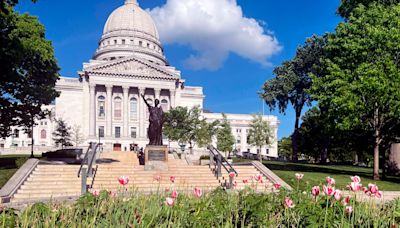 Up in smoke: Workers remove dozens of apparent marijuana plants from Wisconsin Capitol tulip garden