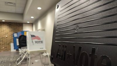 Proposed referendum would let Naperville residents decide if they want ranked choice voting