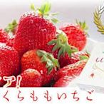 "草莓族"日本草莓種子/德島さくらもも草莓王/10粒入種子