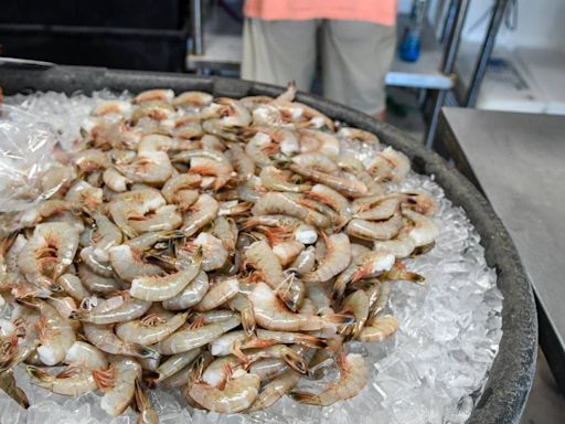 SC shrimp season fully opened but fewer local shrimpers are on the waters. Here’s why