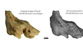 'Tina', la niña neandertal con síndrome de Down que vivió gracias al amor de su grupo