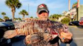 Divers catch a record 24,699 invasive lionfish in tournament off Florida’s Gulf Coast