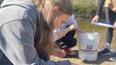 Marysville students release salmon into Belle River