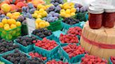 2 Farmer's Markets In Hoboken Area To Reopen Next 2 Saturdays