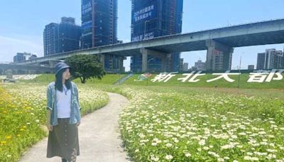 新北河濱公園絢爛花海 春遊少女的祕密花園