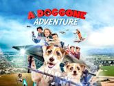 A Doggone Adventure