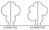 Asymmetry