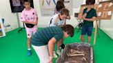 Día de diversiones atlánticas en Gijón: comer, jugar o aprender en un festival que da para todo