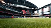 Arizona Diamondbacks' new turf is a sight to behold