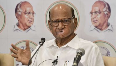 Congress, Shiv Sena (UBT), NCP (SP) to jointly contest assembly polls, seat sharing to begin soon: Pawar