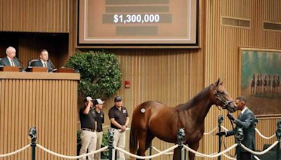 Bullish Market Continues Thursday At Keeneland September Yearling Sale