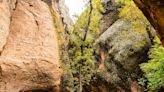 Cañón Namúrachi, el ‘lugar de cuevas’ que se esconde en Chihuahua (¡y que puedes visitar!)