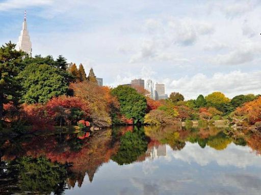 東京紅葉2023｜最佳賞楓時間＋7大紅葉打卡景點＋美食推介