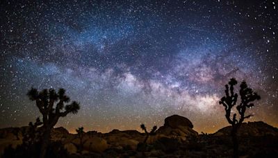 Tickets for Joshua Tree's Annual Night Sky Festival Are on Sale Now — What to Know