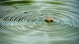 Your pictures on the theme of 'ripples'