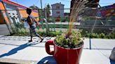 900-pound coffee mug planters served up on Piedmont Street in Worcester