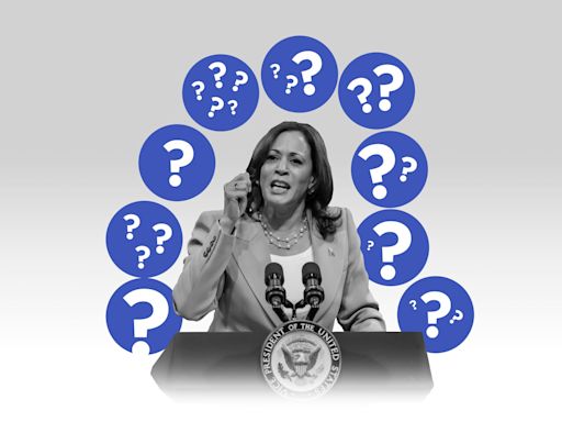 The hottest new bet? A candidate who Kamala Harris may pick for VP
