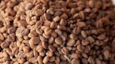 The Benefits of Fenugreek for Lactation and Breast Milk Supply