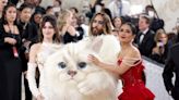 Met Gala 2023: glamour inspirado en Karl Lagerfeld, presencia latina y 'gatos'