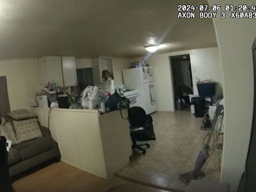 Video shows deputy in fatal Sonya Massey shooting say, 'I'll shoot you in the face'