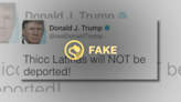 Fact Check: Did Trump Tweet 'Thicc Latinas Will NOT Be Deported'?