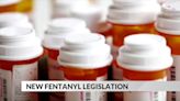 Senator Amy Klobuchar addresses the ongoing fentanyl crisis