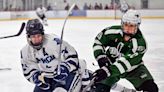 HIGH SCHOOL ROUNDUP: Sandwich boys hockey win first Jim Gormley Cup