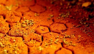 Moléculas esenciales para la vida pueden adaptarse a salmueras de Marte