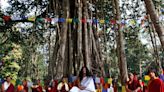 Nepalese spiritual leader ‘Buddha Boy’ convicted of sexual assault on minor