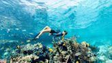 Explore a beleza natural e os tesouros submarinos da Barreira de Recifes de Andros, nas Bahamas - Uai Turismo