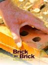 Brick by Brick: Rebuilding Our Past