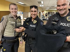 Federal Way PD rescues litter of week-old kittens