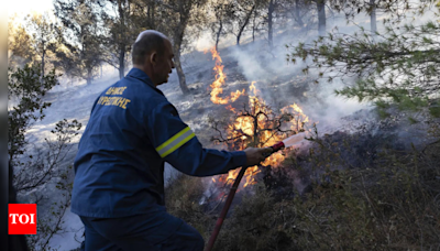 Greek prime minister warns of dangerous summer for wildfires - Times of India