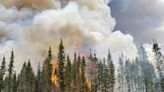Climate change contributed to Canada's extreme wildfires, report says