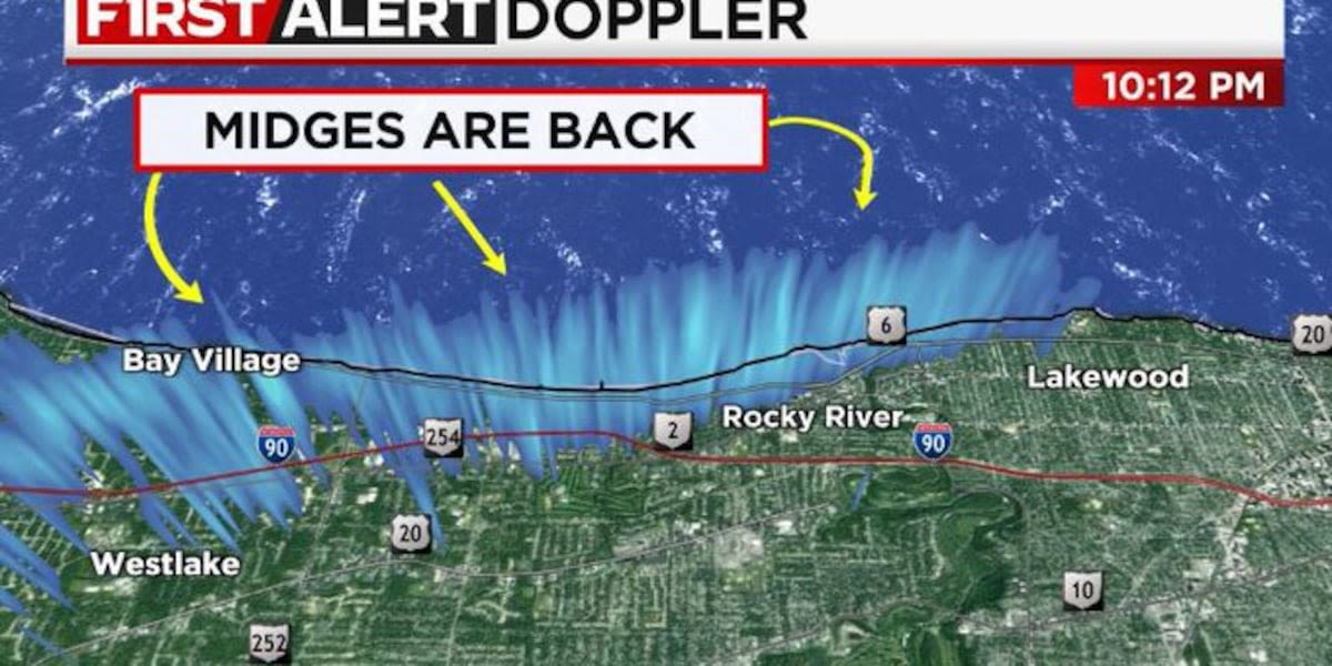 Midges seen on radar in return to Cleveland shoreline